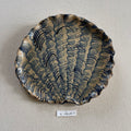 31 large shell 011
