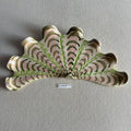 31 large shell 117