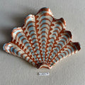 31 large shell 119