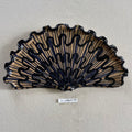 31 large shell 012