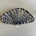 31 large shell 126
