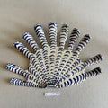 31 large shell 127