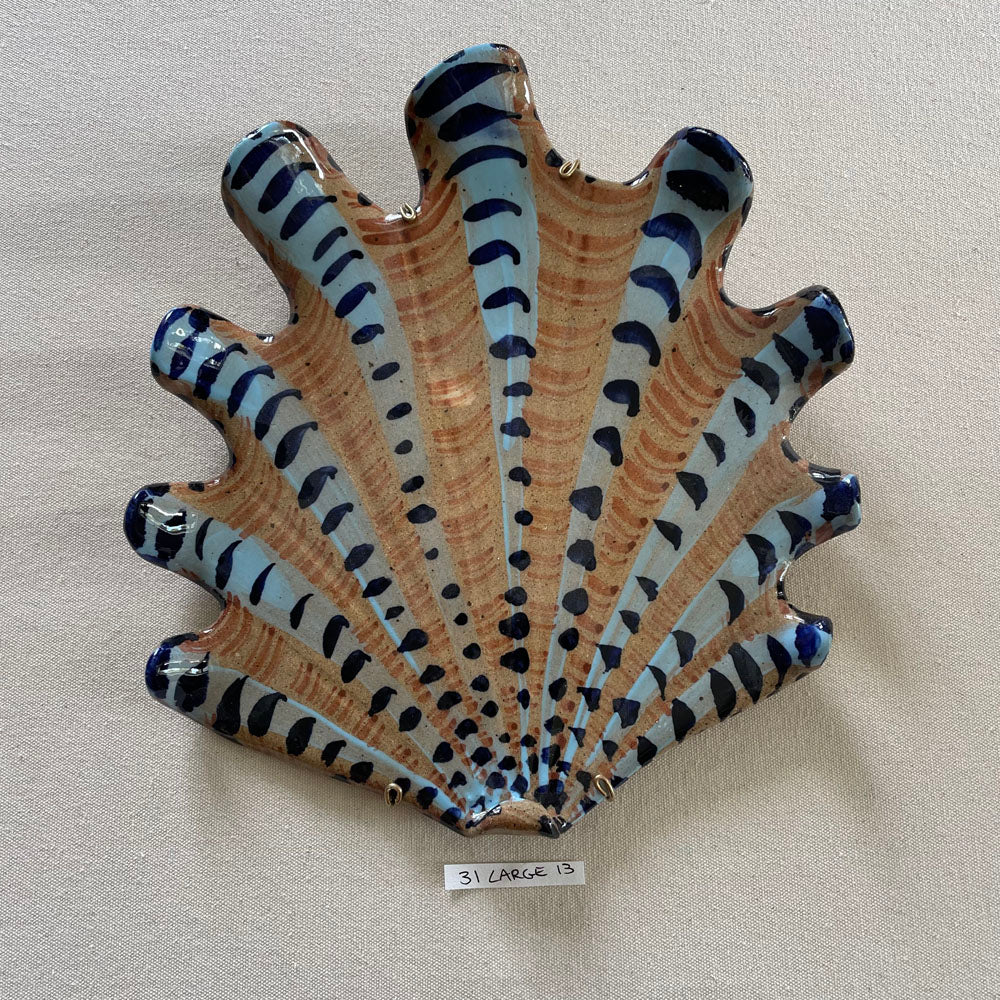 31 large shell 013