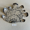 31 large shell 135