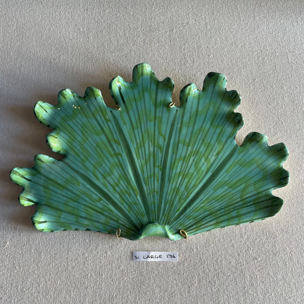 31 large shell 136