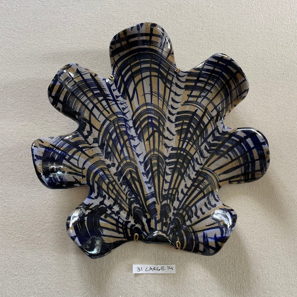 31 large shell 014