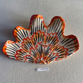 31 large shell 141