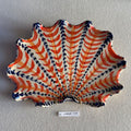 31 large shell 145