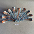 31 large shell 146