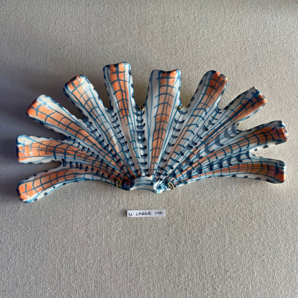 31 large shell 146