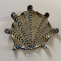 31 large shell 015