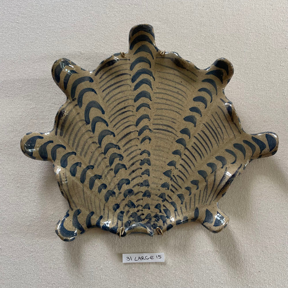 31 large shell 015