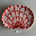31 large shell 156