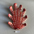 31 large shell 160