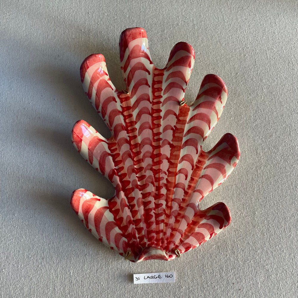 31 large shell 160