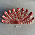 31 large shell 161