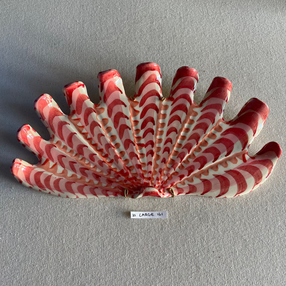 31 large shell 161