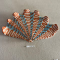 31 large shell 173