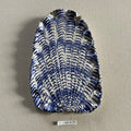 31 large shell 019