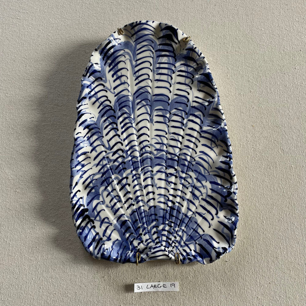31 large shell 019