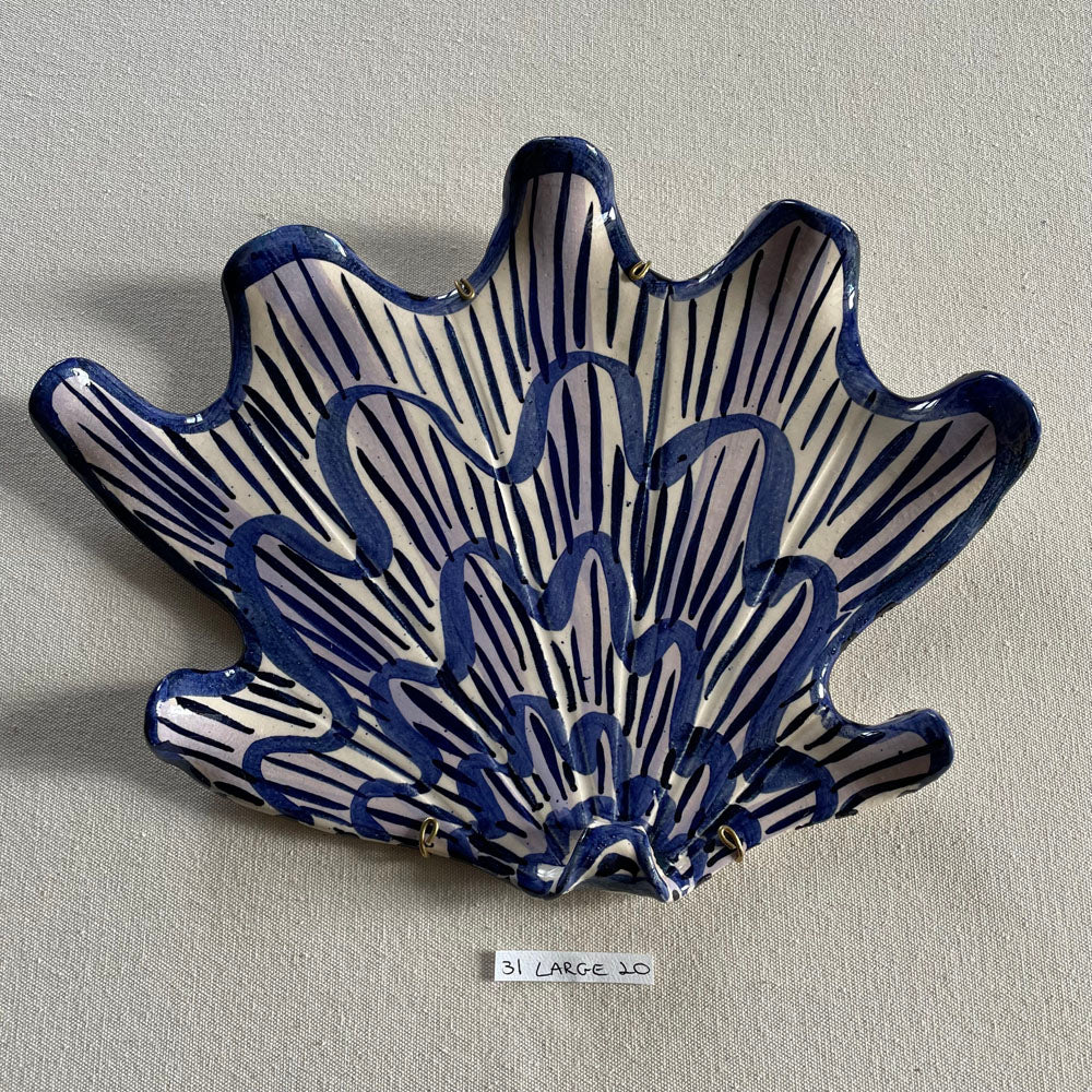 31 large shell 020