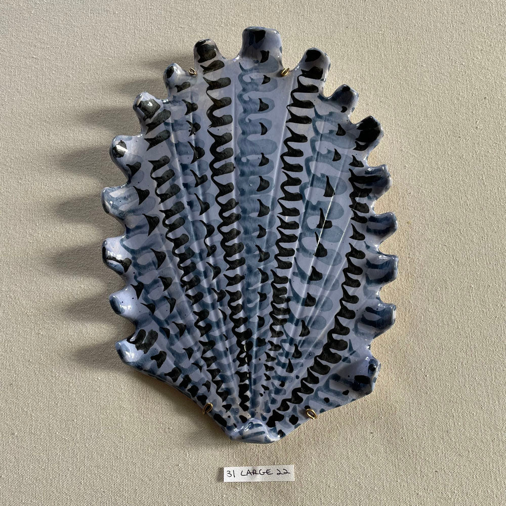 31 large shell 022