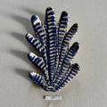 31 large shell 023