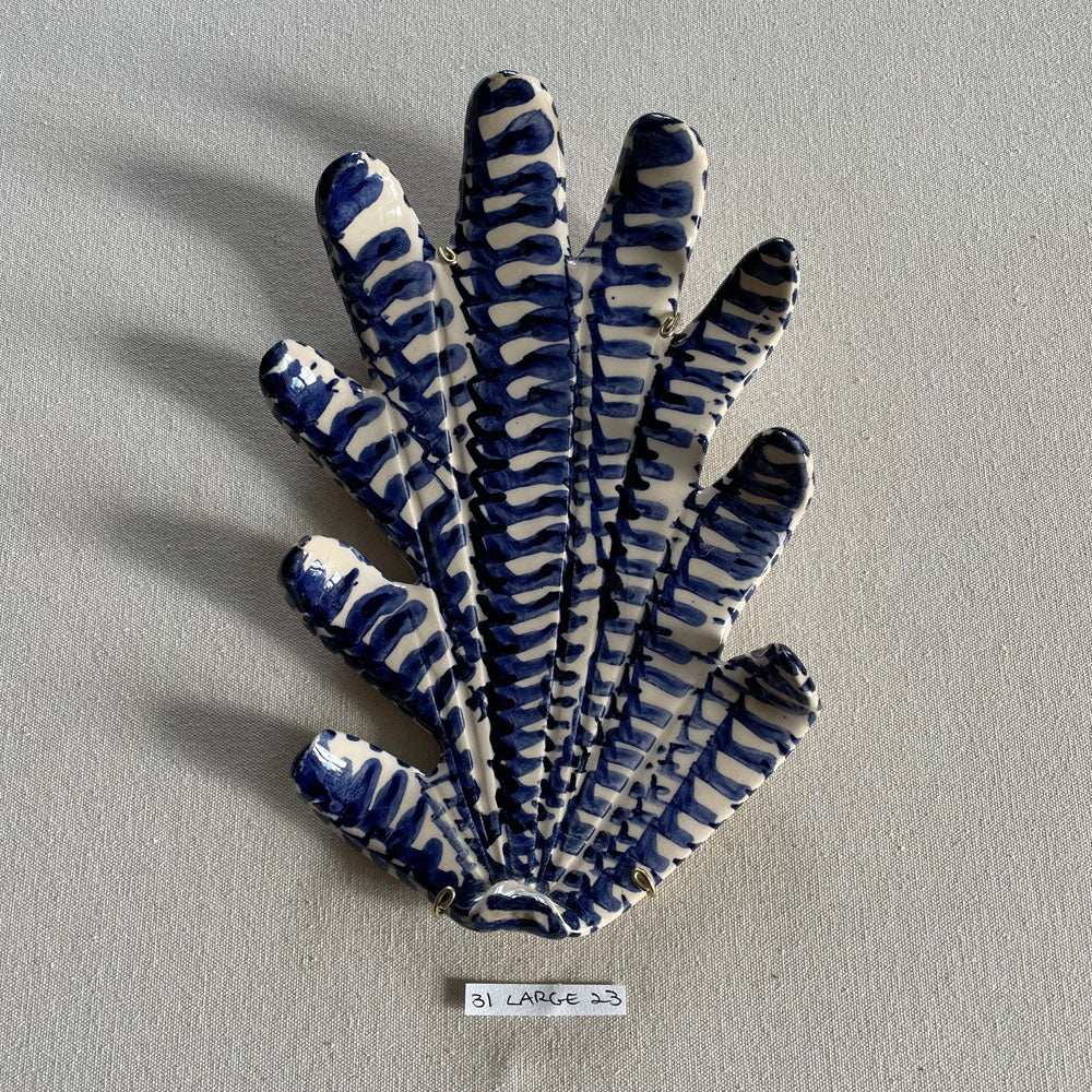 31 large shell 023