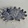 31 large shell 025