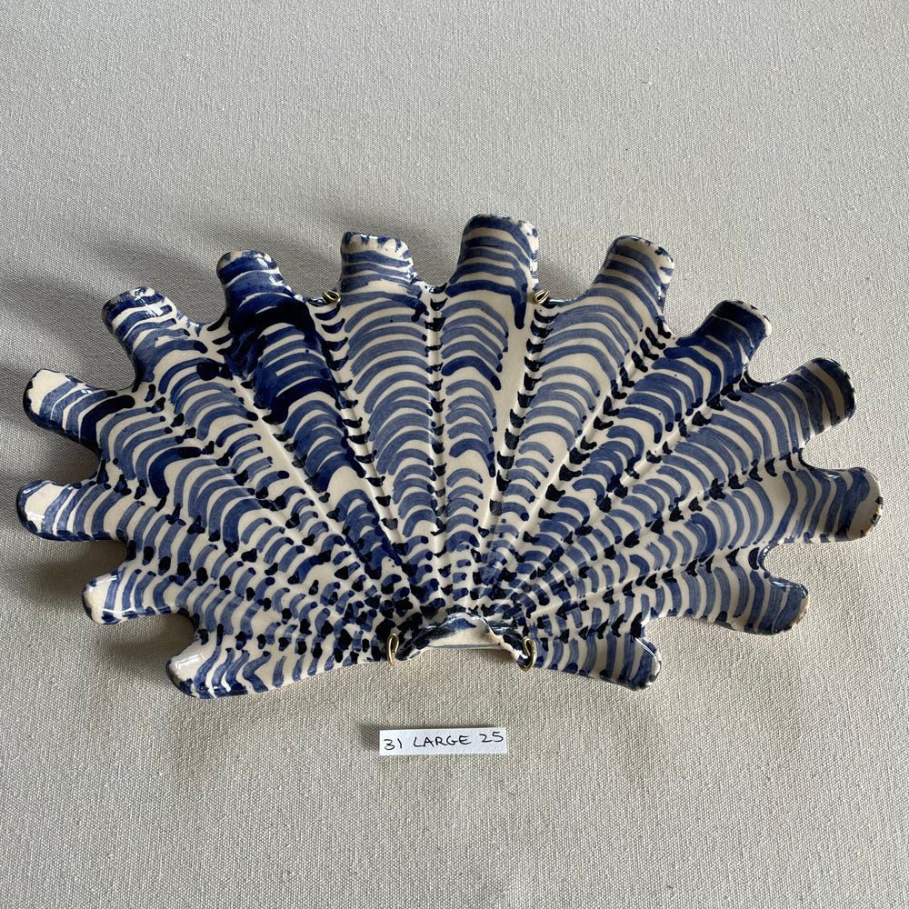31 large shell 025