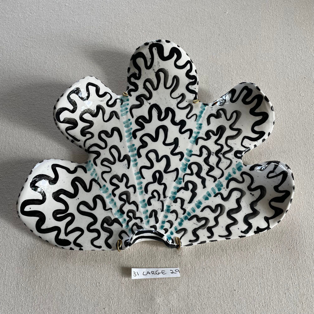 31 large shell 029