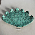 31 large shell 047