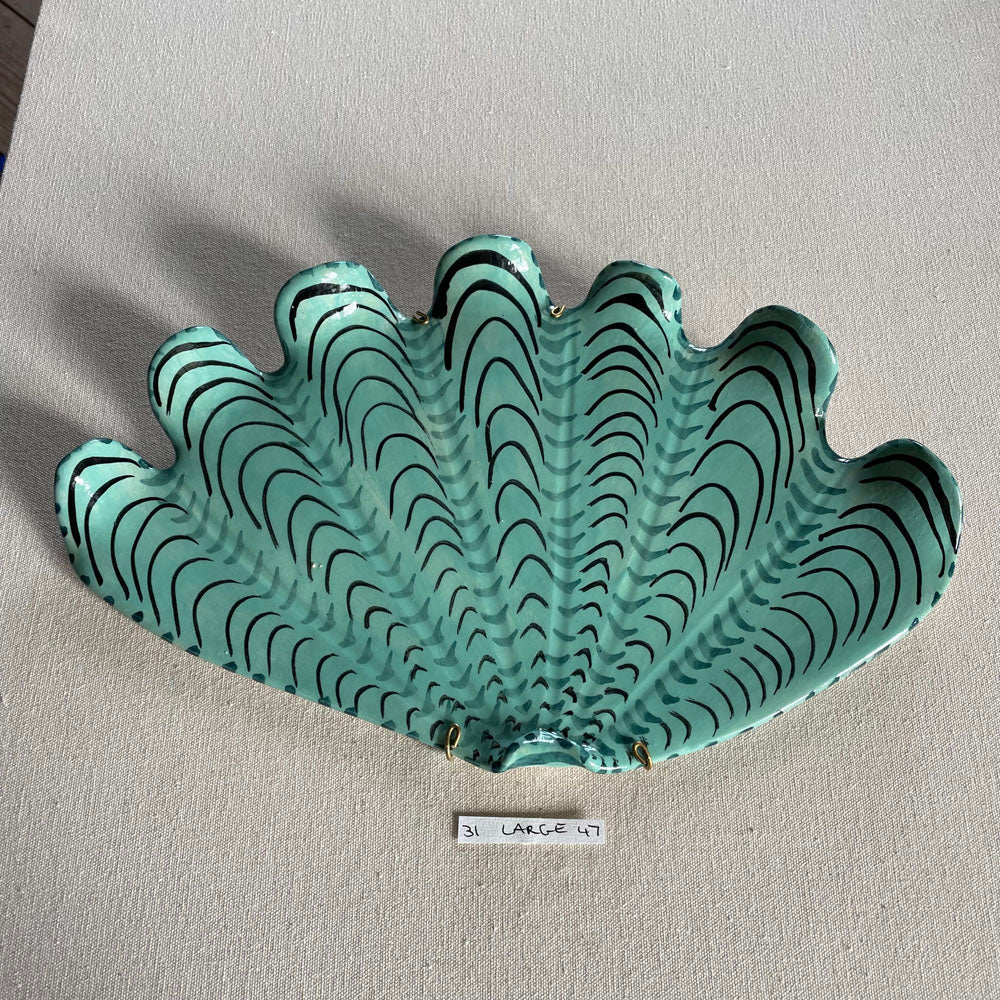 31 large shell 047