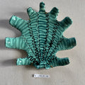 31 large shell 048