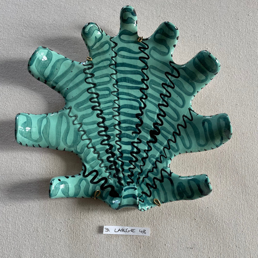 31 large shell 048