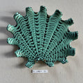 31 large shell 053