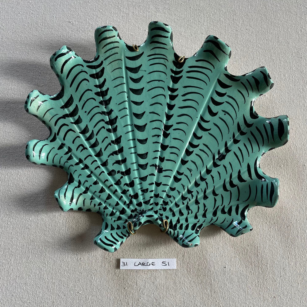 31 large shell 053