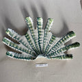 31 large shell 053