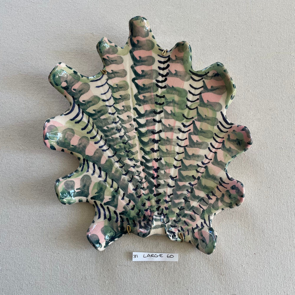 31 large shell 060