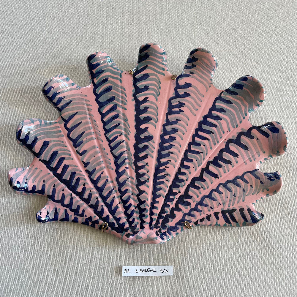 31 large shell 065
