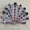 31 large shell 069