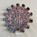 31 large shell 070