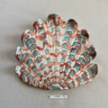 31 large shell 74