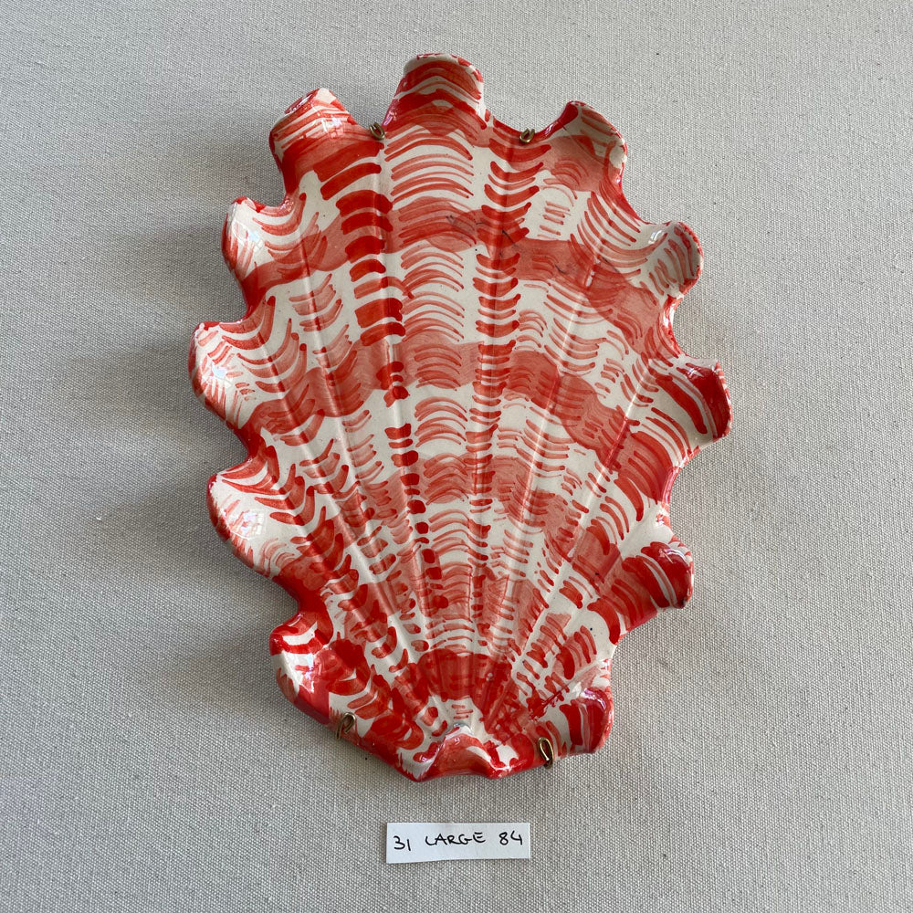 31 large shell 84