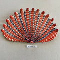 31 large shell 87