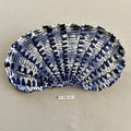 31 maxi shell 016