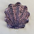 31 maxi shell 044