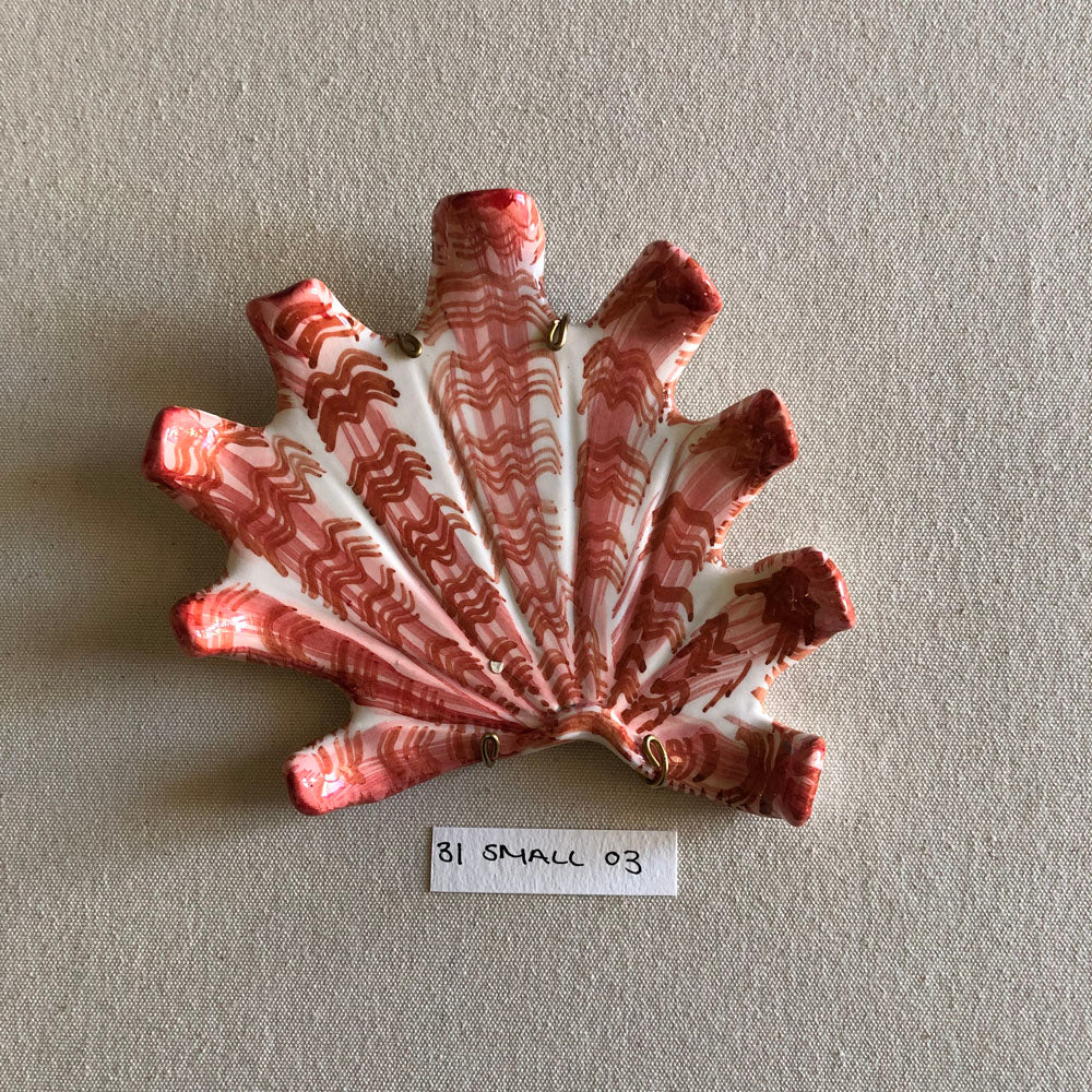 31 small shell 3