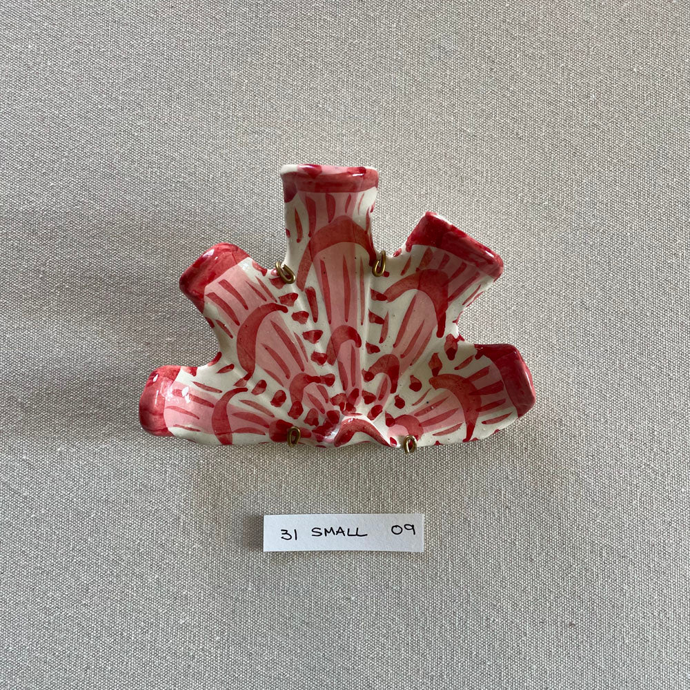 31 small shell 9