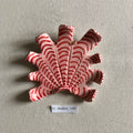 31 small shell 108